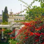 DSC08339